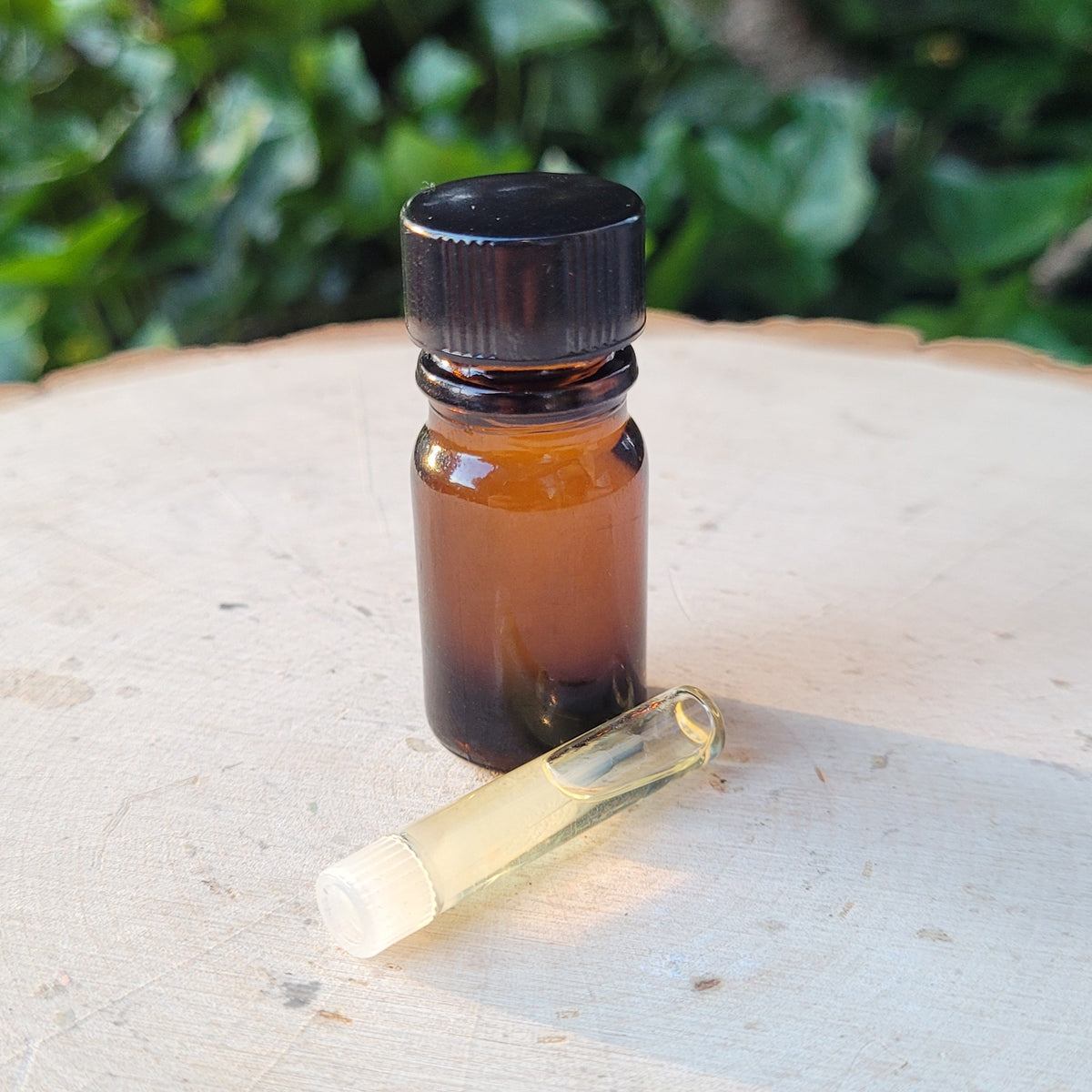The Garden Of Earthly Delights Perfume Oil – Haus of Gloi